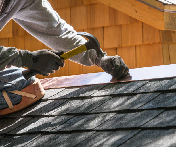 Best Flat Roof Repair Services  in Lemmon, SD